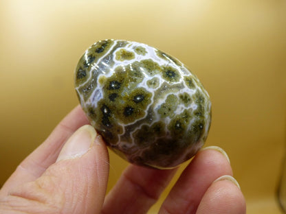 8 Adern Ocean Jaspis Orbicular grün gelb weiß - Edelstein Ei Kugel Natur Heilstein Deko Crystal Geschenk Er Sie Mann Frau Haus Wohnen Selten - Art of Nature Berlin
