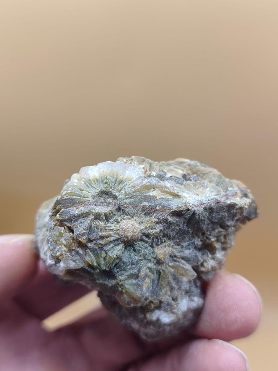8 Adern Ocean Jaspis Orbicular roh Stufe Kristall Stein Rarität Natur Heilstein Deko Kristall Geschenk Er Sie Mann Frau Selten Sammler - Art of Nature Berlin