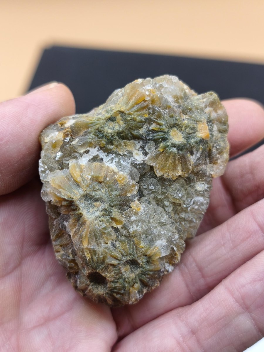 8 Adern Ocean Jaspis Orbicular roh Stufe Kristall Stein Rarität Natur Heilstein Deko Kristall Geschenk Er Sie Mann Frau Selten Sammler - Art of Nature Berlin