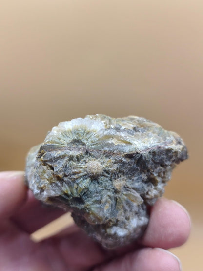 8 Adern Ocean Jaspis Orbicular roh Stufe Kristall Stein Rarität Natur Heilstein Deko Kristall Geschenk Er Sie Mann Frau Selten Sammler - Art of Nature Berlin
