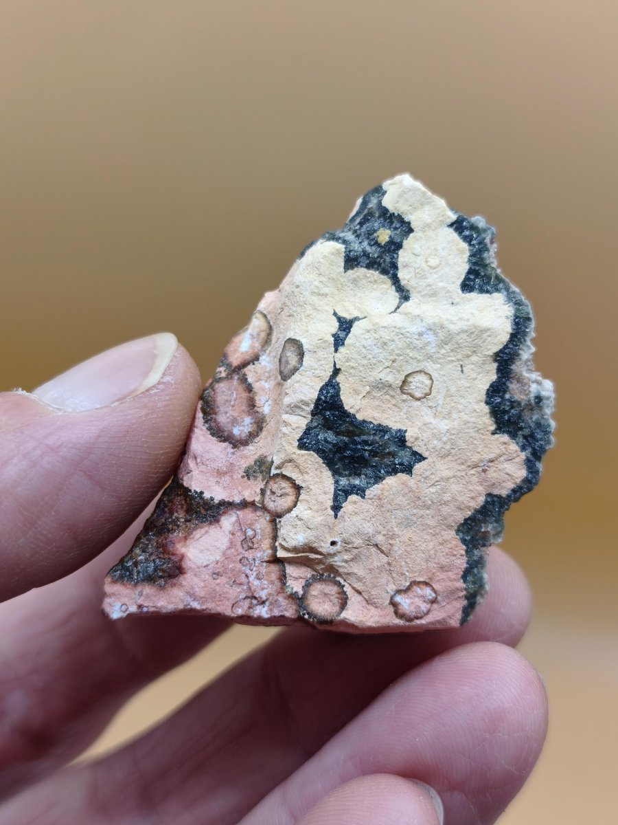8 Adern Ocean Jaspis Orbicular roh Stufe Stein Rarität Natur Heilstein Deko Kristall Geschenk Er Sie Mann Frau Haus Energie Selten Sammler - Art of Nature Berlin