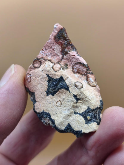 8 Adern Ocean Jaspis Orbicular roh Stufe Stein Rarität Natur Heilstein Deko Kristall Geschenk Er Sie Mann Frau Haus Energie Selten Sammler - Art of Nature Berlin