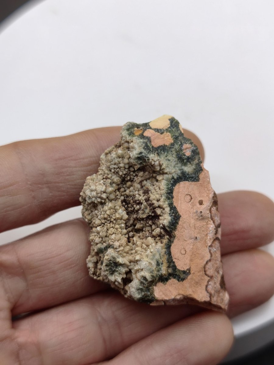 8 Adern Ocean Jaspis Orbicular roh Stufe Stein Rarität Natur Heilstein Deko Kristall Geschenk Er Sie Mann Frau Haus Energie Selten Sammler - Art of Nature Berlin