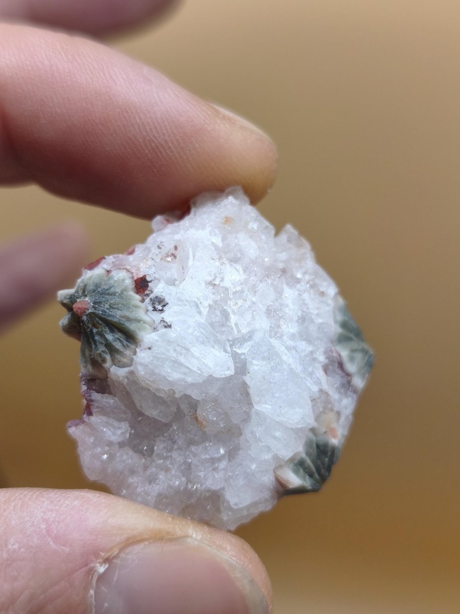8 Adern Ocean Jaspis Orbicular roh Stufe Stein Rarität Natur Heilstein Deko Kristall Geschenk Er Sie Mann Frau Haus Energie Selten Sammler - Art of Nature Berlin