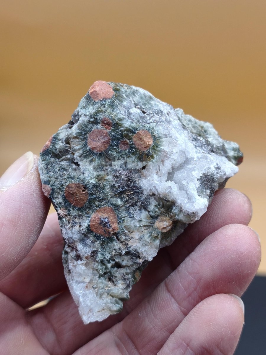 8 Adern Ocean Jaspis Orbicular roh Stufe Stein Rarität Natur Heilstein Deko Kristall Geschenk Er Sie Mann Frau Haus Energie Selten Sammler - Art of Nature Berlin