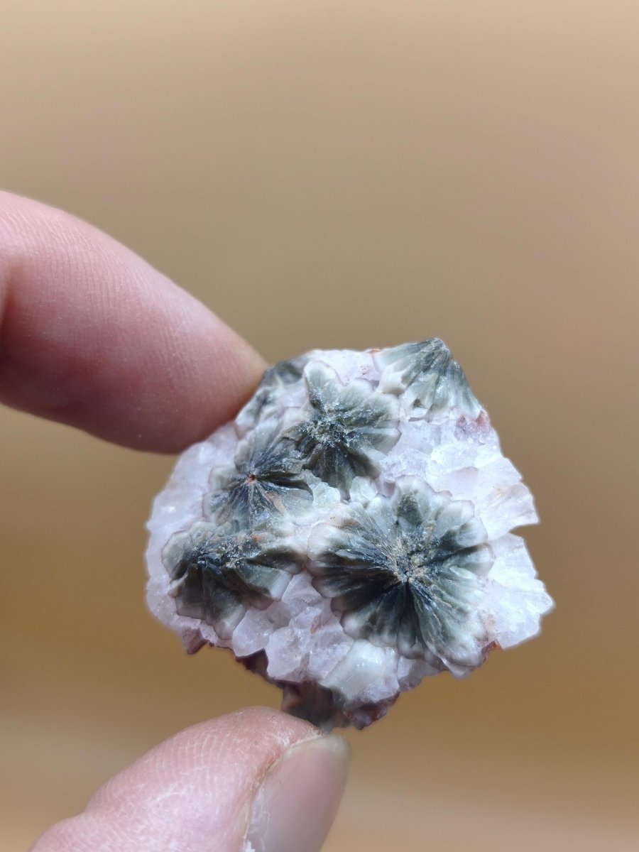 8 Adern Ocean Jaspis Orbicular roh Stufe Stein Rarität Natur Heilstein Deko Kristall Geschenk Er Sie Mann Frau Haus Energie Selten Sammler - Art of Nature Berlin