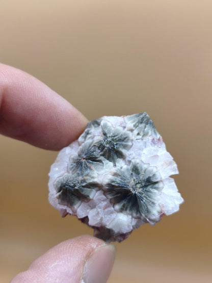 8 Adern Ocean Jaspis Orbicular roh Stufe Stein Rarität Natur Heilstein Deko Kristall Geschenk Er Sie Mann Frau Haus Energie Selten Sammler - Art of Nature Berlin