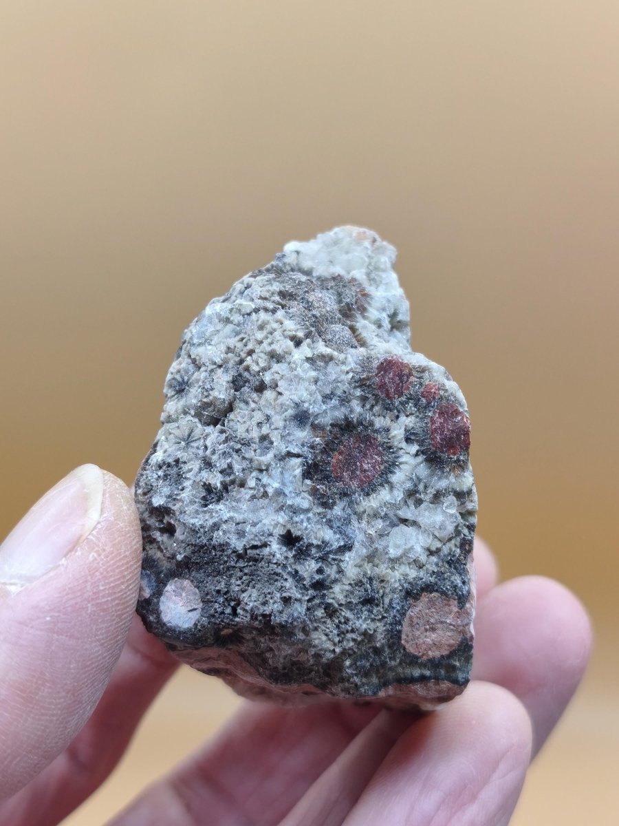 8 Adern Ocean Jaspis Orbicular roh Stufe Stein Rarität Natur Heilstein Deko Kristall Geschenk Er Sie Mann Frau Haus Energie Selten Sammler - Art of Nature Berlin