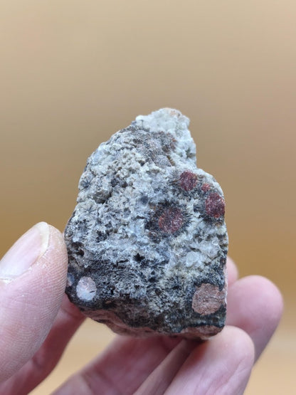 8 Adern Ocean Jaspis Orbicular roh Stufe Stein Rarität Natur Heilstein Deko Kristall Geschenk Er Sie Mann Frau Haus Energie Selten Sammler - Art of Nature Berlin