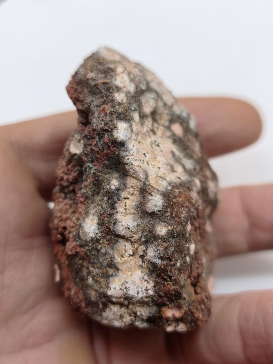 8 Adern Ocean Jaspis Orbicular roh Stufe Stein Rarität Natur Heilstein Deko Kristall Geschenk Er Sie Mann Frau Haus Energie Selten Sammler - Art of Nature Berlin