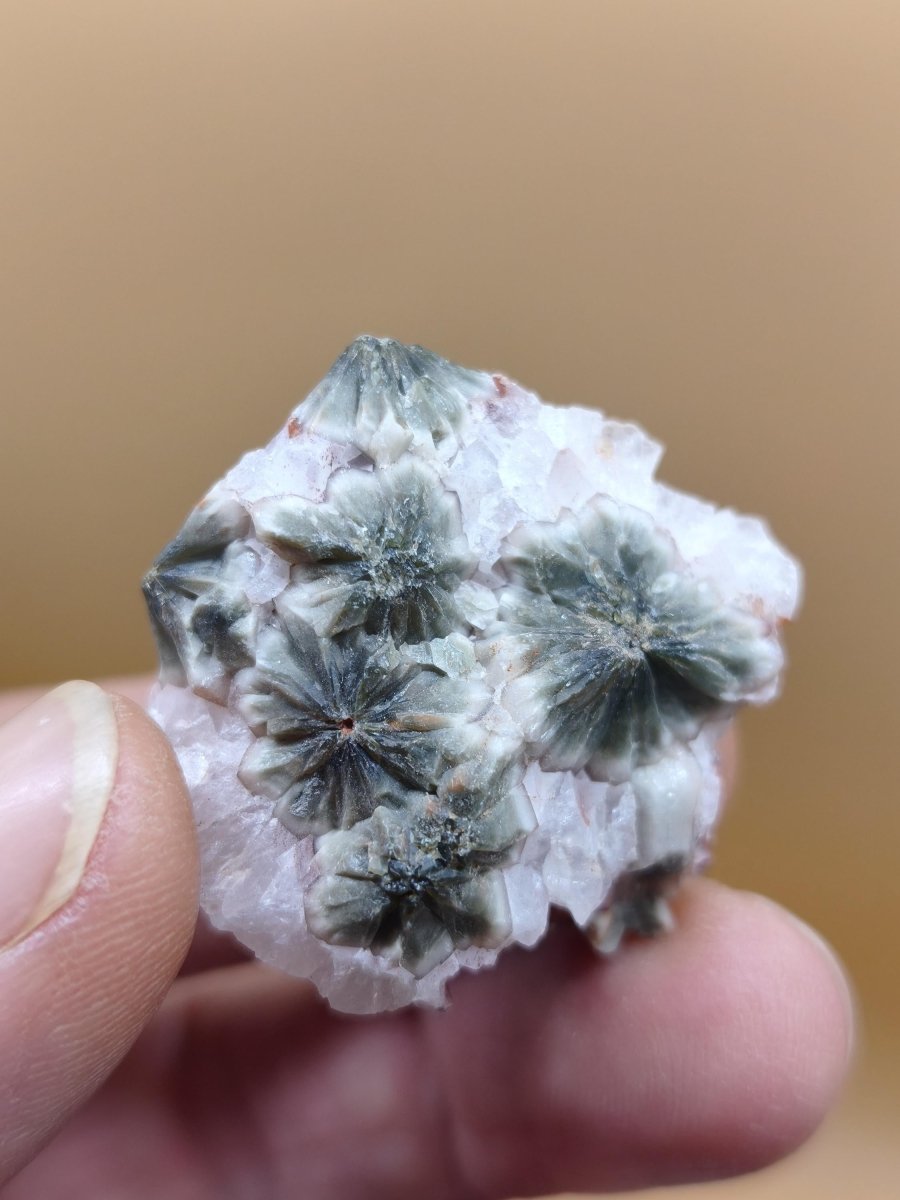 8 Adern Ocean Jaspis Orbicular roh Stufe Stein Rarität Natur Heilstein Deko Kristall Geschenk Er Sie Mann Frau Haus Energie Selten Sammler - Art of Nature Berlin