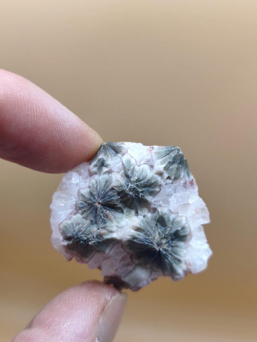 8 Adern Ocean Jaspis Orbicular roh Stufe Stein Rarität Natur Heilstein Deko Kristall Geschenk Er Sie Mann Frau Haus Energie Selten Sammler - Art of Nature Berlin