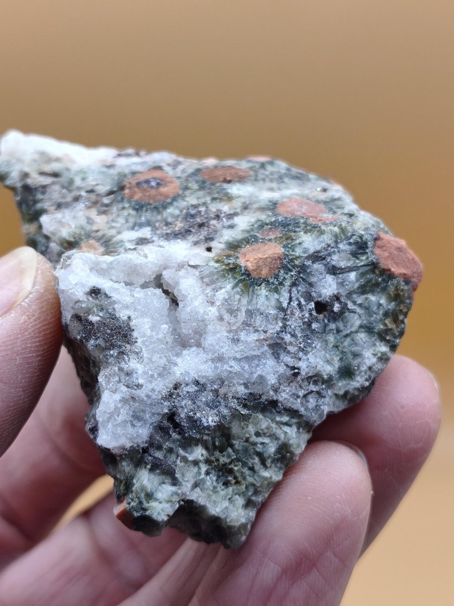 8 Adern Ocean Jaspis Orbicular roh Stufe Stein Rarität Natur Heilstein Deko Kristall Geschenk Er Sie Mann Frau Haus Energie Selten Sammler - Art of Nature Berlin