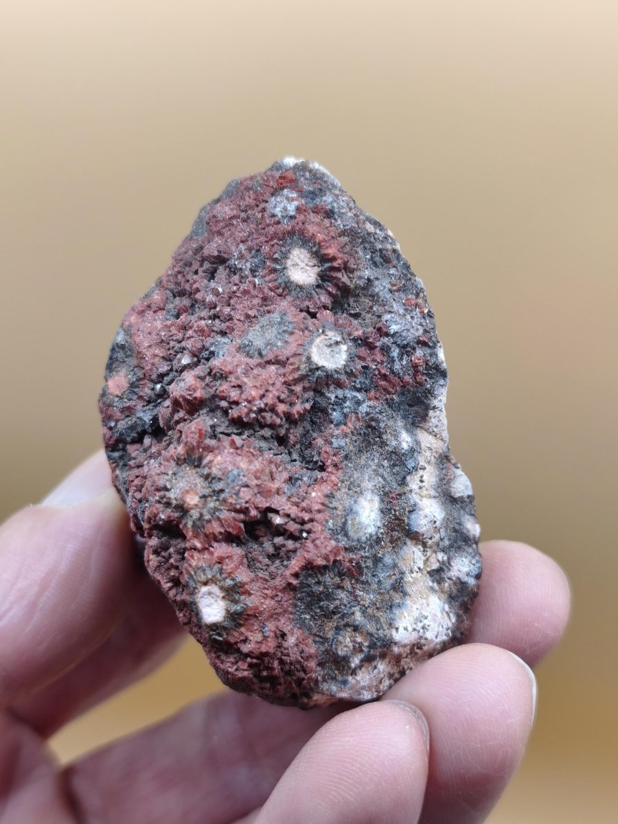 8 Adern Ocean Jaspis Orbicular roh Stufe Stein Rarität Natur Heilstein Deko Kristall Geschenk Er Sie Mann Frau Haus Energie Selten Sammler - Art of Nature Berlin