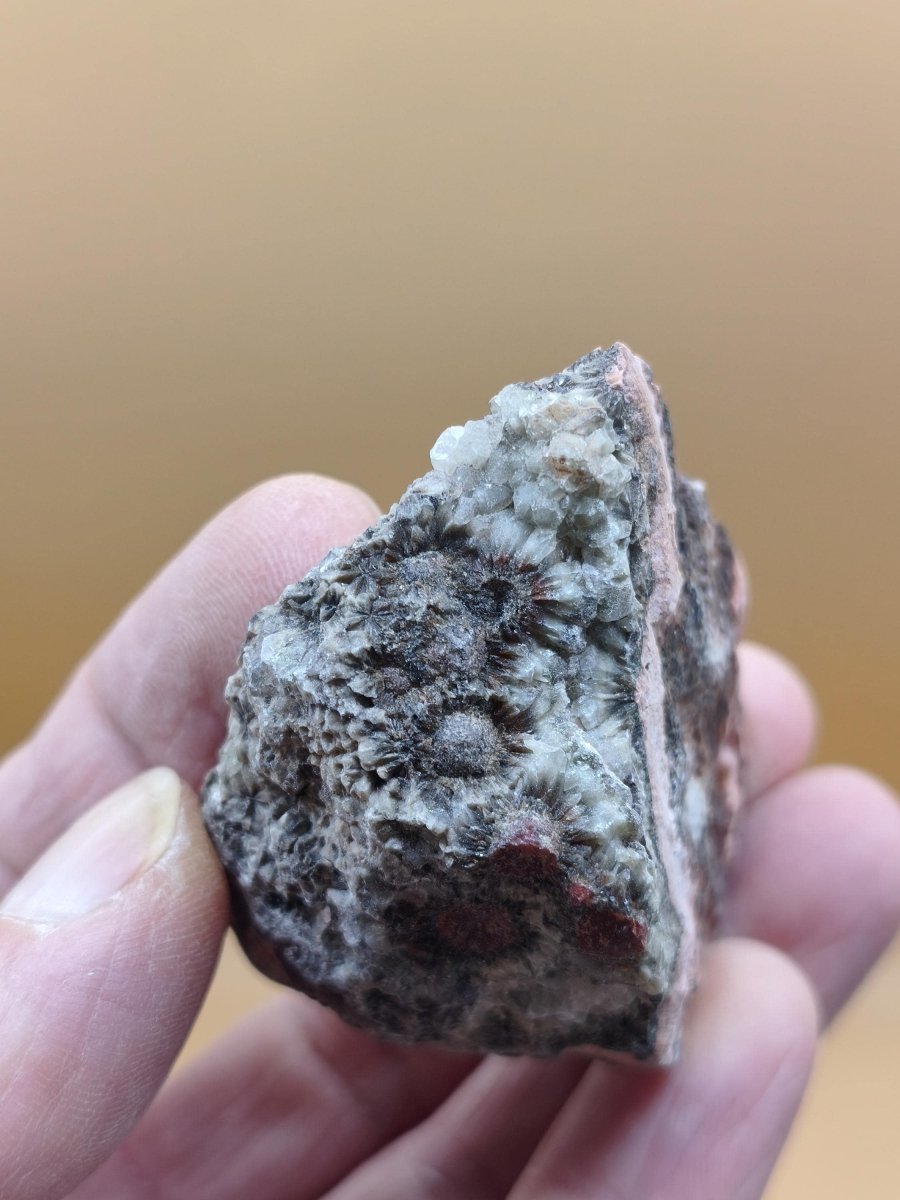 8 Adern Ocean Jaspis Orbicular roh Stufe Stein Rarität Natur Heilstein Deko Kristall Geschenk Er Sie Mann Frau Haus Energie Selten Sammler - Art of Nature Berlin