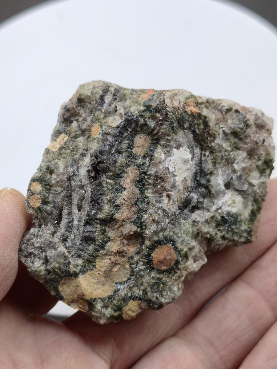 8 Adern Ocean Jaspis Orbicular roh Stufe Stein Rarität Natur Heilstein Deko Kristall Geschenk Er Sie Mann Frau Haus Energie Selten Sammler - Art of Nature Berlin