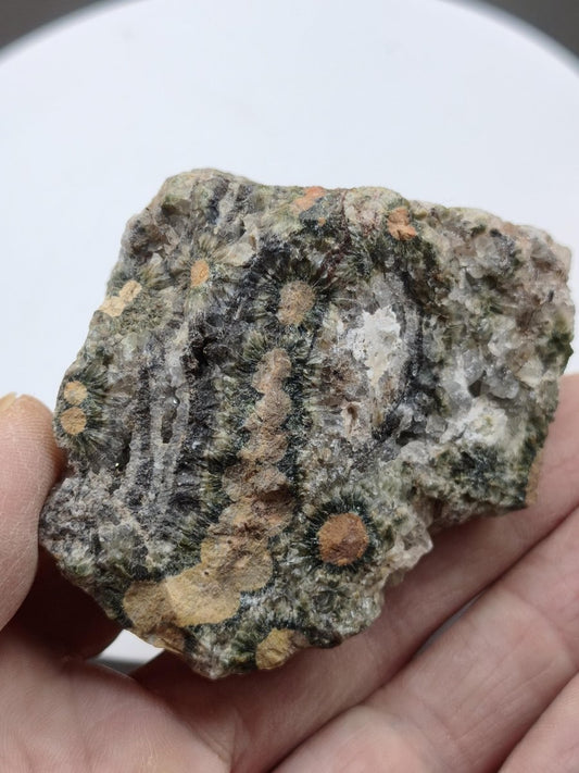 8 Adern Ocean Jaspis Orbicular roh Stufe Stein Rarität Natur Heilstein Deko Kristall Geschenk Er Sie Mann Frau Haus Energie Selten Sammler - Art of Nature Berlin