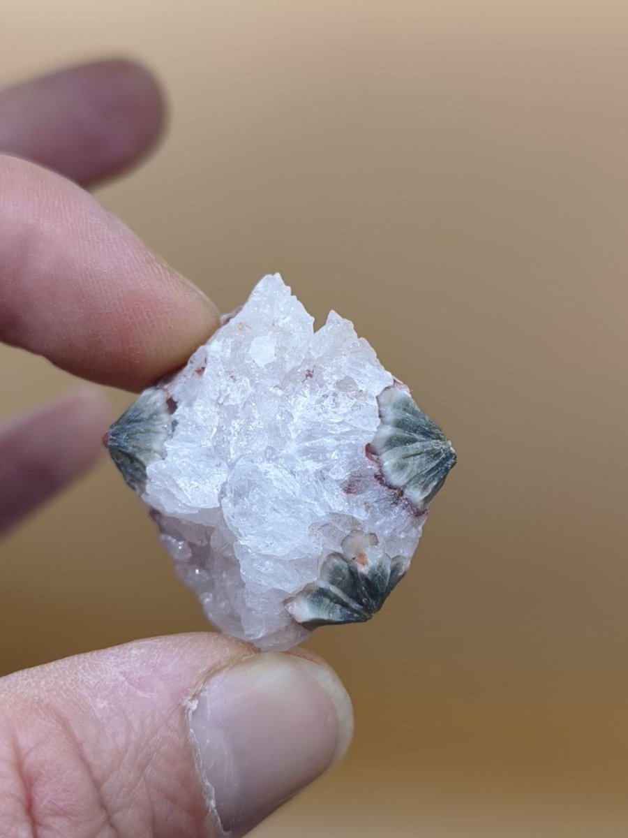 8 Adern Ocean Jaspis Orbicular roh Stufe Stein Rarität Natur Heilstein Deko Kristall Geschenk Er Sie Mann Frau Haus Energie Selten Sammler - Art of Nature Berlin