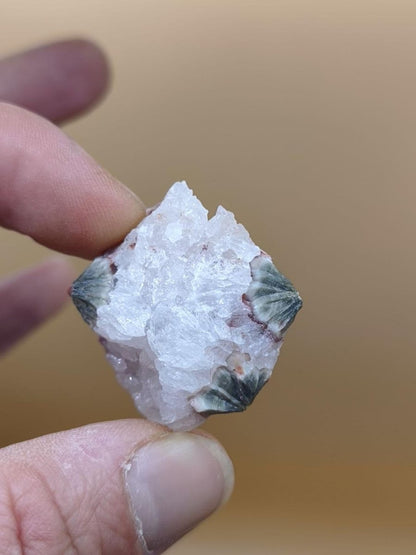 8 Adern Ocean Jaspis Orbicular roh Stufe Stein Rarität Natur Heilstein Deko Kristall Geschenk Er Sie Mann Frau Haus Energie Selten Sammler - Art of Nature Berlin