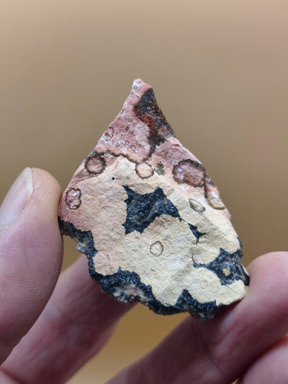 8 Adern Ocean Jaspis Orbicular roh Stufe Stein Rarität Natur Heilstein Deko Kristall Geschenk Er Sie Mann Frau Haus Energie Selten Sammler - Art of Nature Berlin