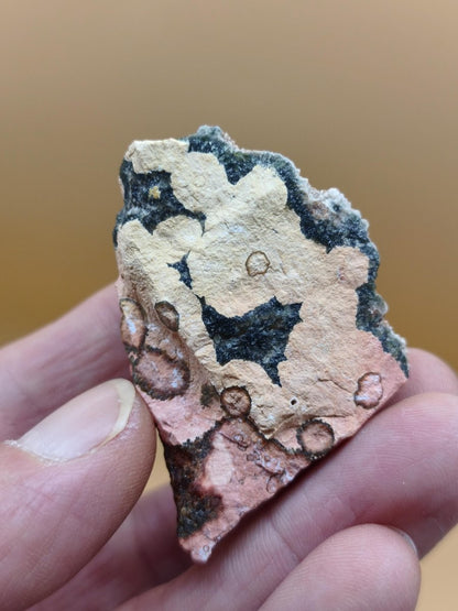 8 Adern Ocean Jaspis Orbicular roh Stufe Stein Rarität Natur Heilstein Deko Kristall Geschenk Er Sie Mann Frau Haus Energie Selten Sammler - Art of Nature Berlin