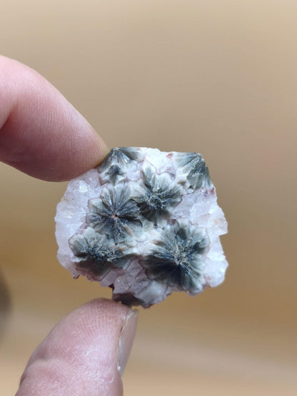 8 Adern Ocean Jaspis Orbicular roh Stufe Stein Rarität Natur Heilstein Deko Kristall Geschenk Er Sie Mann Frau Haus Energie Selten Sammler - Art of Nature Berlin