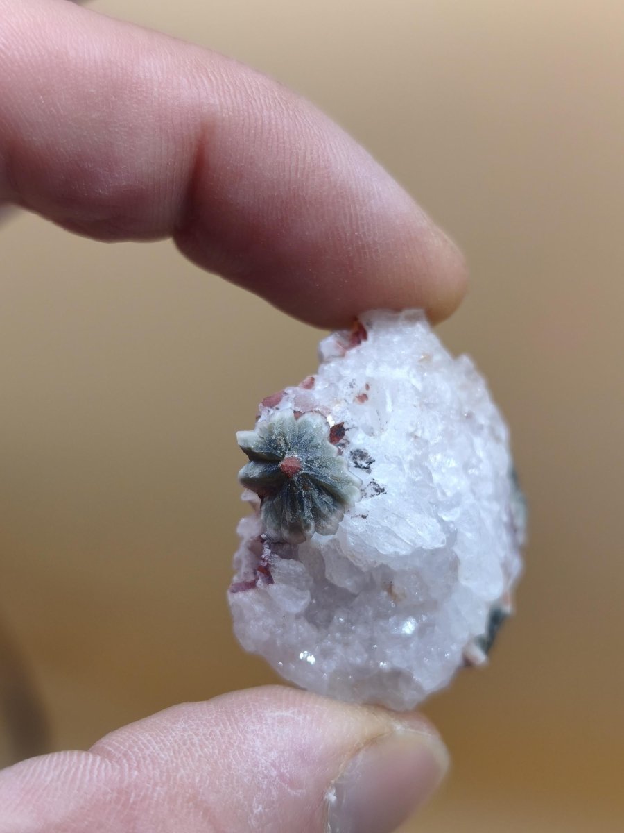 8 Adern Ocean Jaspis Orbicular roh Stufe Stein Rarität Natur Heilstein Deko Kristall Geschenk Er Sie Mann Frau Haus Energie Selten Sammler - Art of Nature Berlin