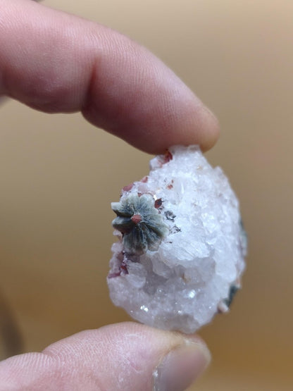 8 Adern Ocean Jaspis Orbicular roh Stufe Stein Rarität Natur Heilstein Deko Kristall Geschenk Er Sie Mann Frau Haus Energie Selten Sammler - Art of Nature Berlin
