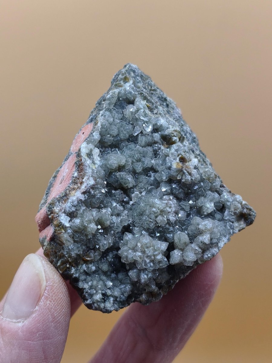 8 Adern Ocean Jaspis Orbicular roh Stufe Stein Rarität Natur Heilstein Deko Kristall Geschenk Er Sie Mann Frau Haus Energie Selten Sammler - Art of Nature Berlin