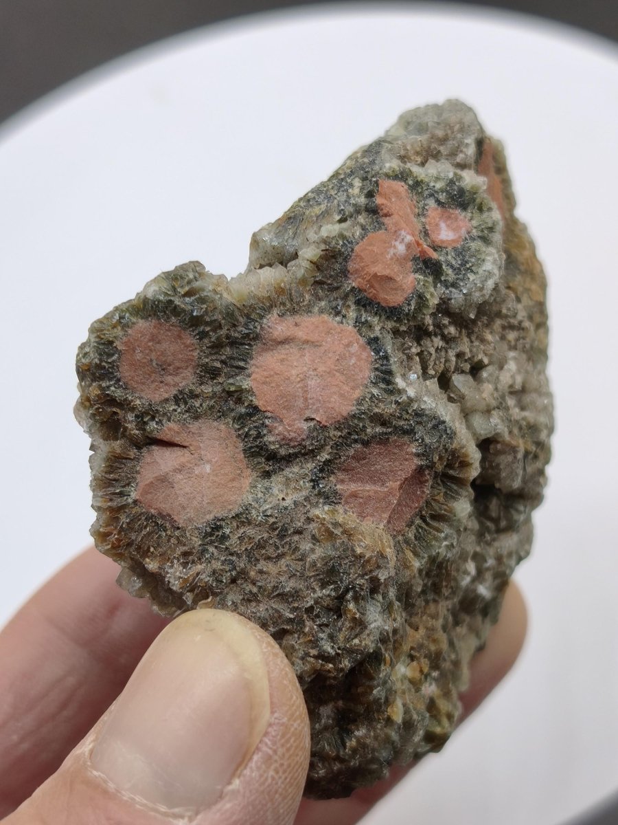 8 Adern Ocean Jaspis Orbicular roh Stufe Stein Rarität Natur Heilstein Deko Kristall Geschenk Er Sie Mann Frau Haus Energie Selten Sammler - Art of Nature Berlin
