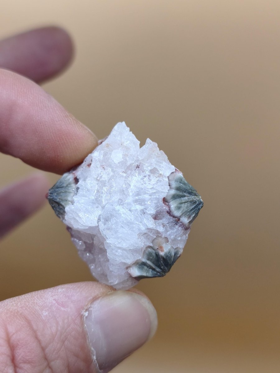 8 Adern Ocean Jaspis Orbicular roh Stufe Stein Rarität Natur Heilstein Deko Kristall Geschenk Er Sie Mann Frau Haus Energie Selten Sammler - Art of Nature Berlin