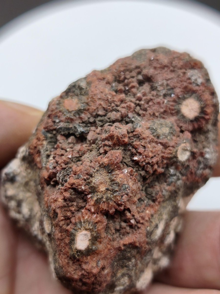 8 Adern Ocean Jaspis Orbicular roh Stufe Stein Rarität Natur Heilstein Deko Kristall Geschenk Er Sie Mann Frau Haus Energie Selten Sammler - Art of Nature Berlin