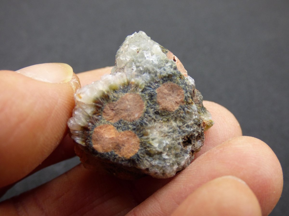 8 Adern Ocean Jaspis Orbicular roh Stufe Stein Rarität Natur Heilstein Deko Kristall Geschenk Er Sie Mann Frau Haus Energie Selten Sammler - Art of Nature Berlin