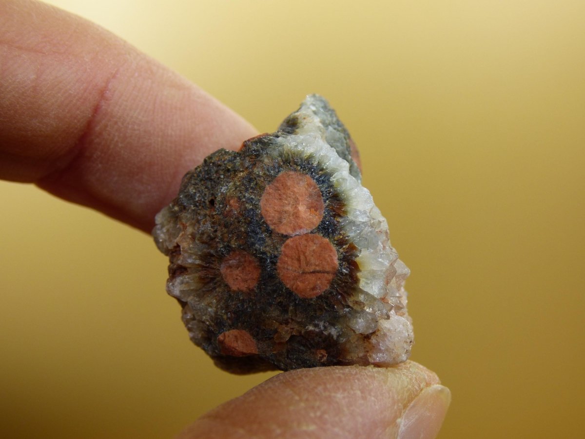 8 Adern Ocean Jaspis Orbicular roh Stufe Stein Rarität Natur Heilstein Deko Kristall Geschenk Er Sie Mann Frau Haus Energie Selten Sammler - Art of Nature Berlin