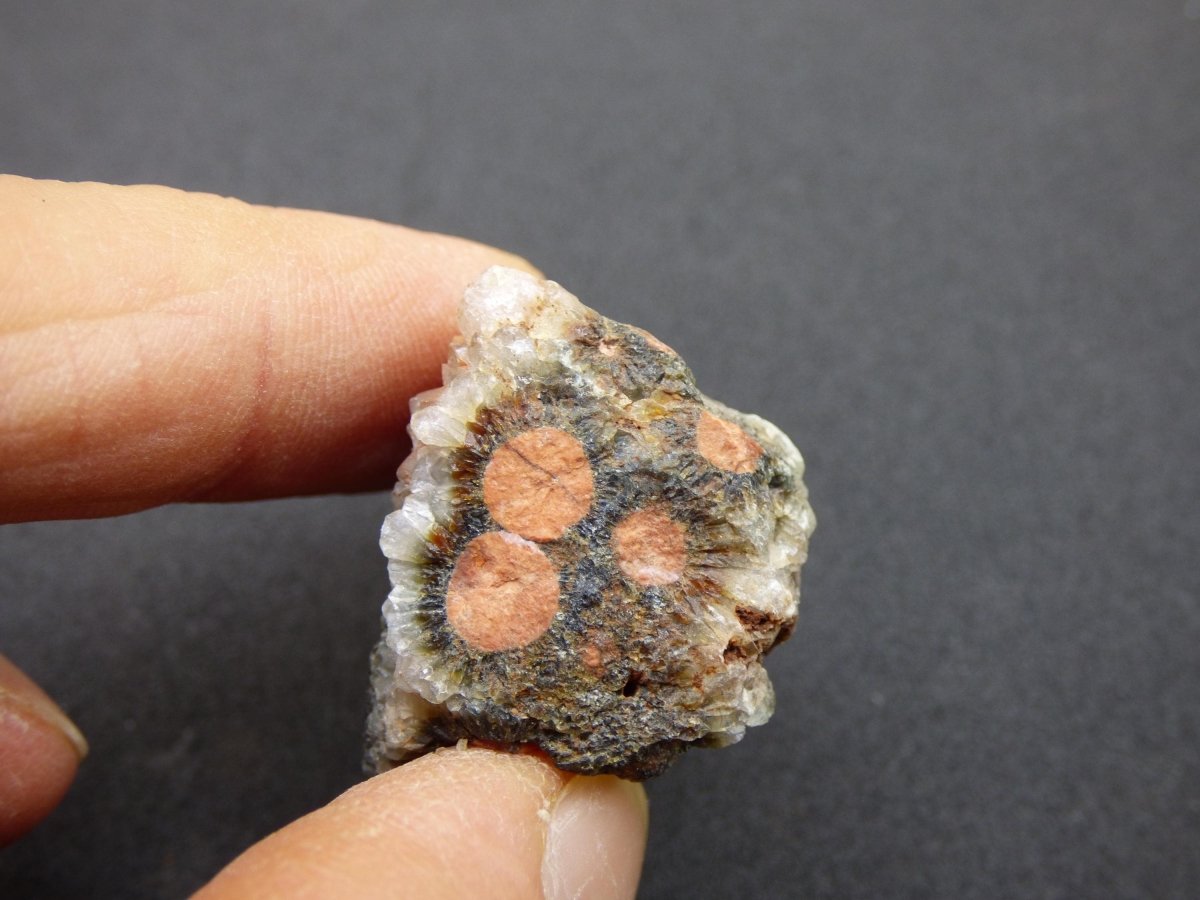 8 Adern Ocean Jaspis Orbicular roh Stufe Stein Rarität Natur Heilstein Deko Kristall Geschenk Er Sie Mann Frau Haus Energie Selten Sammler - Art of Nature Berlin