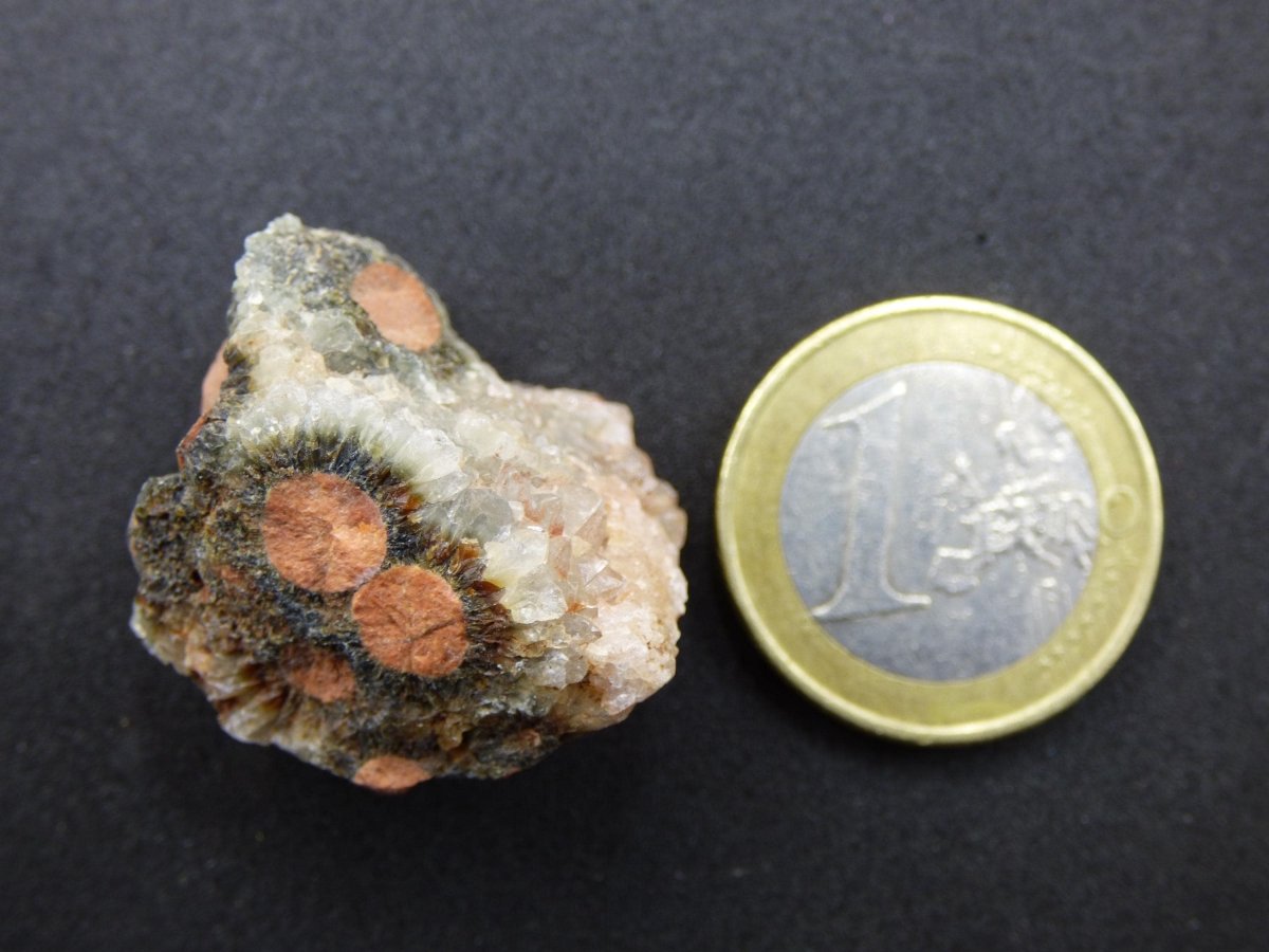 8 Adern Ocean Jaspis Orbicular roh Stufe Stein Rarität Natur Heilstein Deko Kristall Geschenk Er Sie Mann Frau Haus Energie Selten Sammler - Art of Nature Berlin