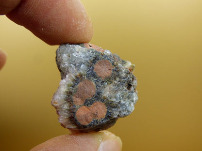 8 Adern Ocean Jaspis Orbicular roh Stufe Stein Rarität Natur Heilstein Deko Kristall Geschenk Er Sie Mann Frau Haus Energie Selten Sammler - Art of Nature Berlin