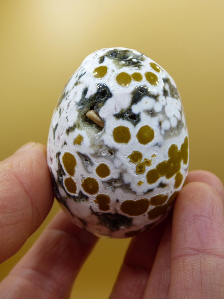 8 Adern Ocean Jaspis Orbicular weiß grün - Edelstein Ei Kugel Natur Heilstein Deko Kristall Geschenk Er Sie Mann Frau Haus Wohnung Selten - Art of Nature Berlin