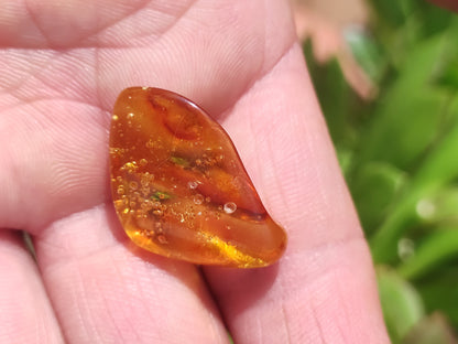 Ambre de la Baltique de qualité 100% naturelle - pierre décorative, petite pierre précieuse