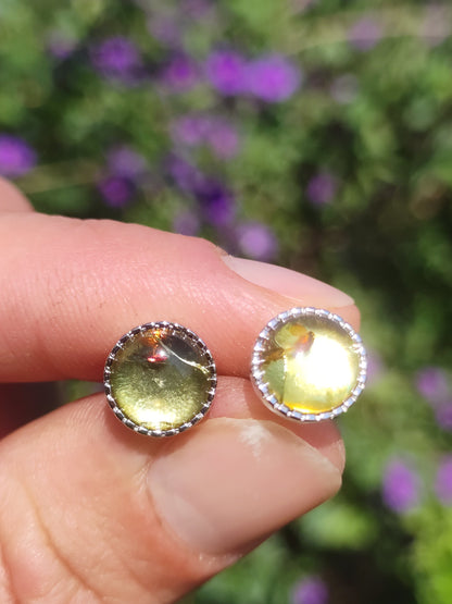 Ambre AAA - Clous d'oreilles Argent Sterling 925 Rareté Bijou Femme Boucles d'oreilles Pierre précieuse Pierre de guérison Cadeau Bijou Noble Rare Pièce unique