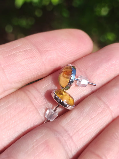 Ambre AAA - Clous d'oreilles Argent Sterling 925 Rareté Bijou Femme Boucles d'oreilles Pierre précieuse Pierre de guérison Cadeau Bijou Noble Rare Pièce unique