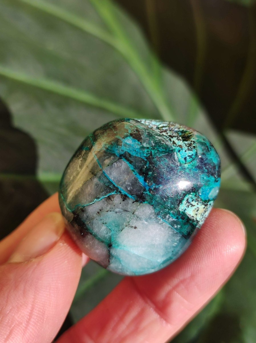 AAA Quantum Quattro Chrysocoll Shattuckit Quarz Azurit blau Natur Heilstein Meditation Ritual Indianer Schamanen Edelstein Mineral Sammler - Art of Nature Berlin