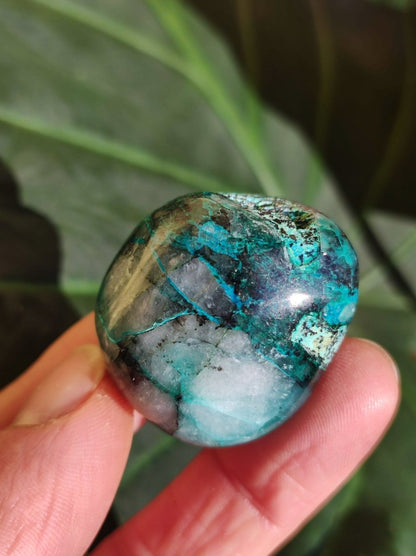 AAA Quantum Quattro Chrysocoll Shattuckit Quarz Azurit blau Natur Heilstein Meditation Ritual Indianer Schamanen Edelstein Mineral Sammler - Art of Nature Berlin