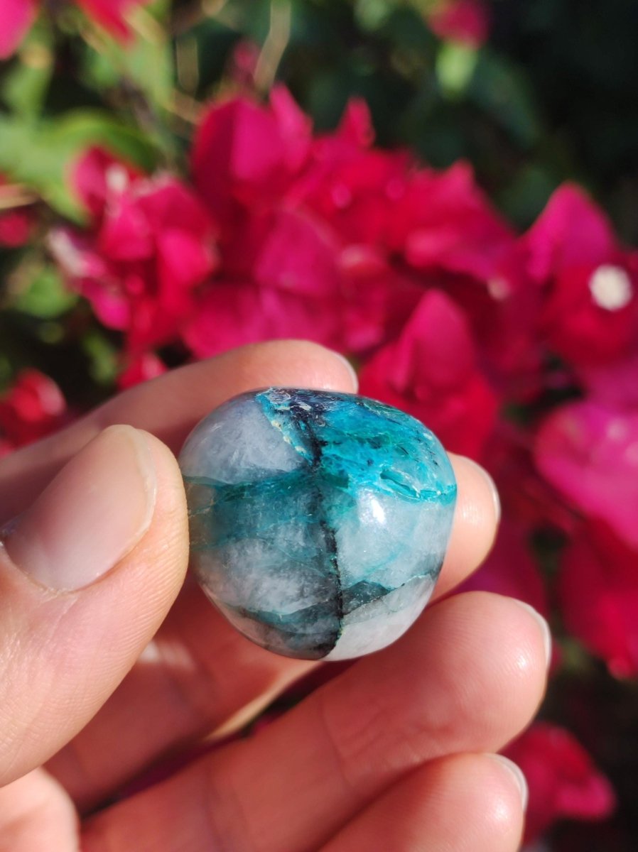 AAA Quantum Quattro Chrysocoll Shattuckit Quarz Azurit blau Natur Heilstein Meditation Ritual Indianer Schamanen Edelstein Mineral Sammler - Art of Nature Berlin