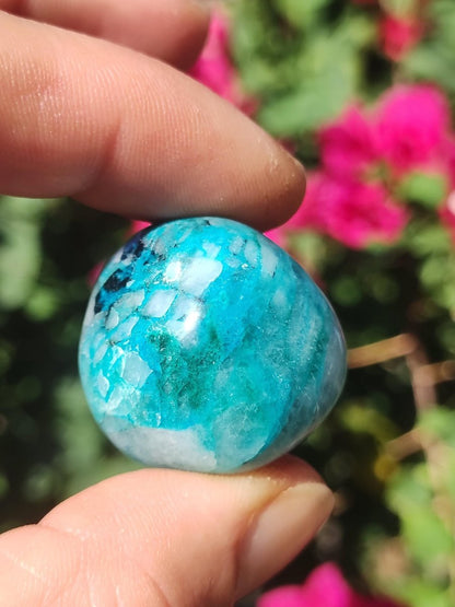 AAA Quantum Quattro Chrysocoll Shattuckit Quarz Azurit blau Natur Heilstein Meditation Ritual Indianer Schamanen Edelstein Mineral Sammler - Art of Nature Berlin