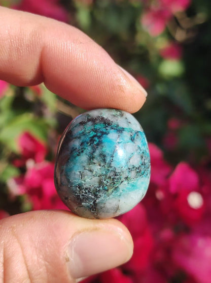 AAA Quantum Quattro Chrysocoll Shattuckit Quarz Azurit blau Natur Heilstein Meditation Ritual Indianer Schamanen Edelstein Mineral Sammler - Art of Nature Berlin