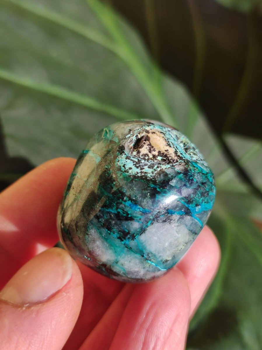 AAA Quantum Quattro Chrysocoll Shattuckit Quarz Azurit blau Natur Heilstein Meditation Ritual Indianer Schamanen Edelstein Mineral Sammler - Art of Nature Berlin