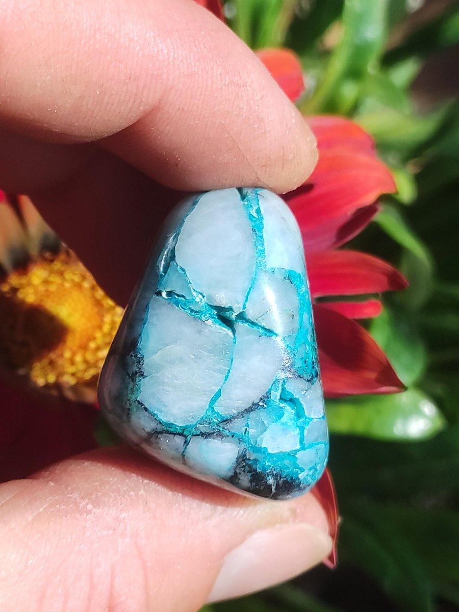 AAA Quantum Quattro Chrysocoll Shattuckit Quarz Azurit blau Natur Heilstein Meditation Ritual Indianer Schamanen Edelstein Mineral Sammler - Art of Nature Berlin