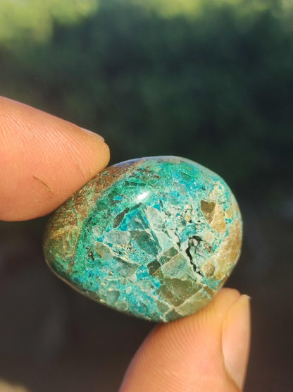 AAA Quantum Quattro Chrysocoll Shattuckit Quarz Azurit blau Natur Heilstein Meditation Ritual Indianer Schamanen Edelstein Mineral Sammler - Art of Nature Berlin