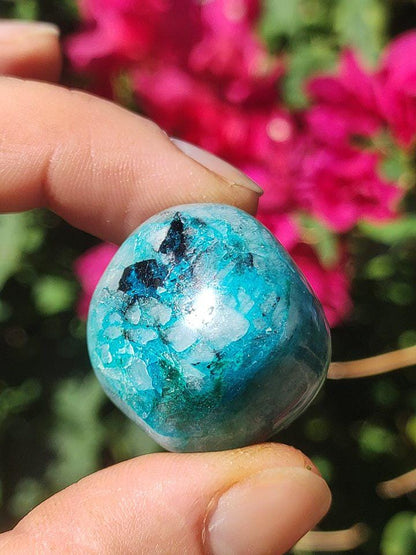 AAA Quantum Quattro Chrysocoll Shattuckit Quarz Azurit blau Natur Heilstein Meditation Ritual Indianer Schamanen Edelstein Mineral Sammler - Art of Nature Berlin